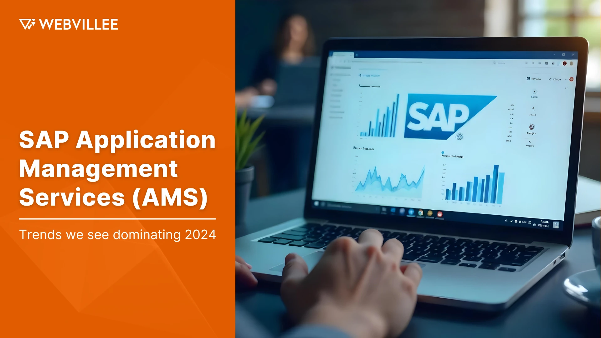 SAP Application Management Service